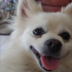 Meet your Posher, Vincent